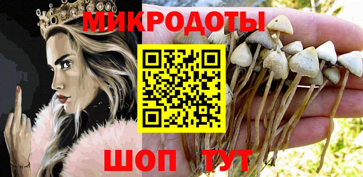 где купить   Псилоцибиновые грибы Psilocybe  Вход с VPN  Зерноград 